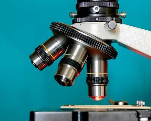 Fotografía de un técnico ajustando las perillas de enfoque de un microscopio óptico para realizar una observación precisa.