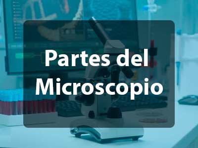 Partes del microscopio óptico