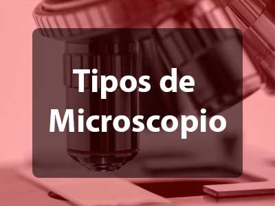 Tipos de microscopio óptico y electrónicos